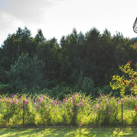 게스트하우스 Lazur Wrzosowo (Kamien)