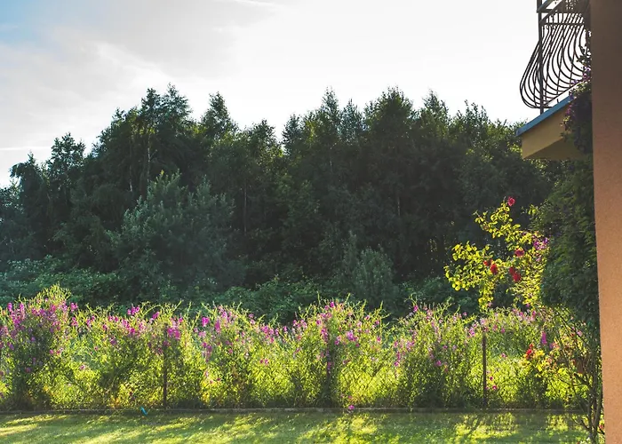 Affittacamere Lazur Wrzosowo (Kamien)